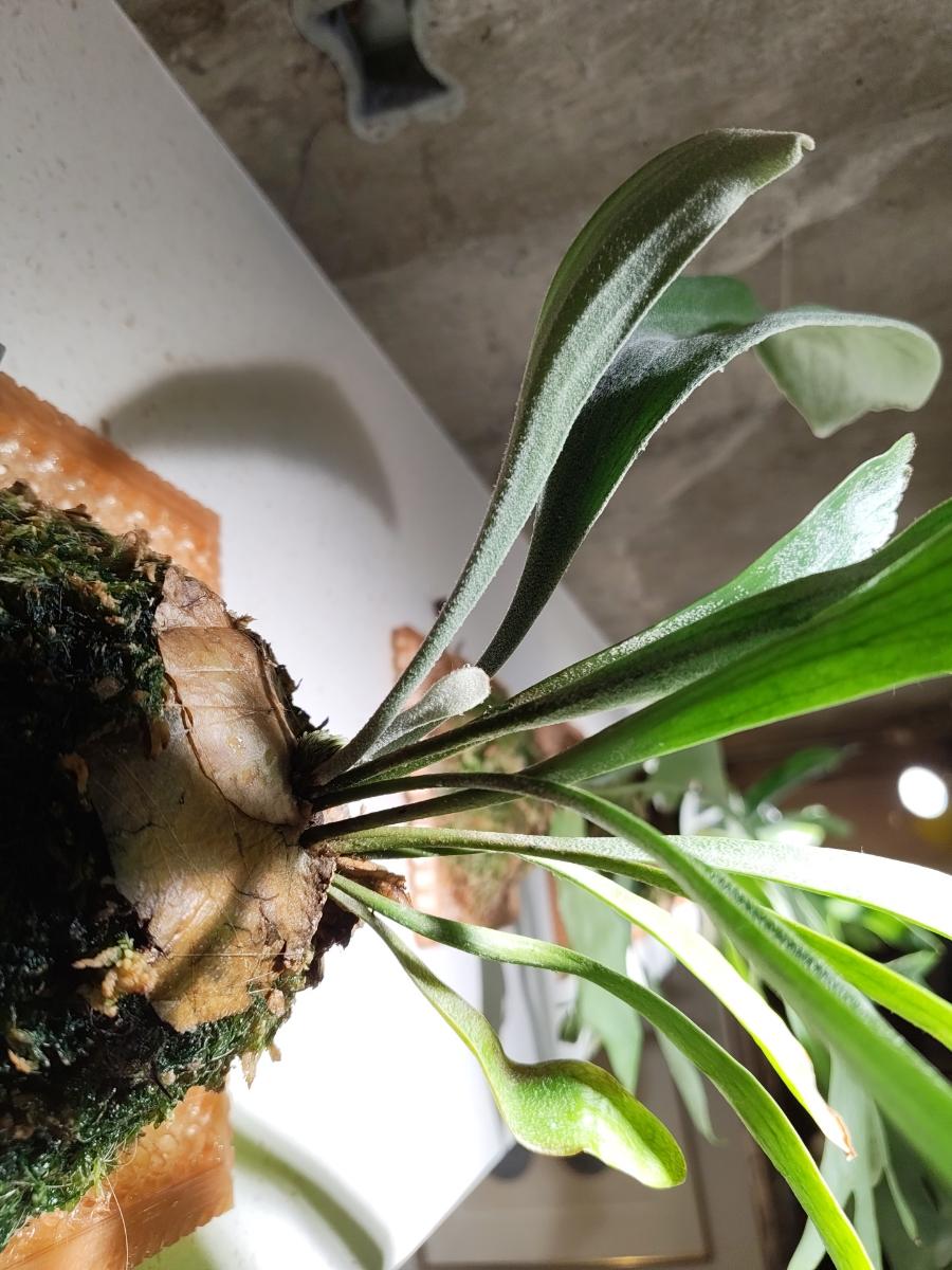 konan_1 の 2026-04-15 の記録写真